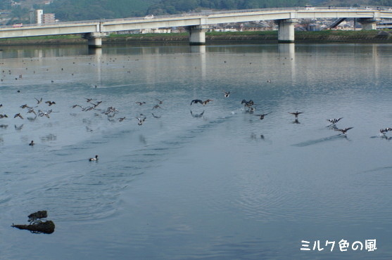 c0368870_11181170.jpg