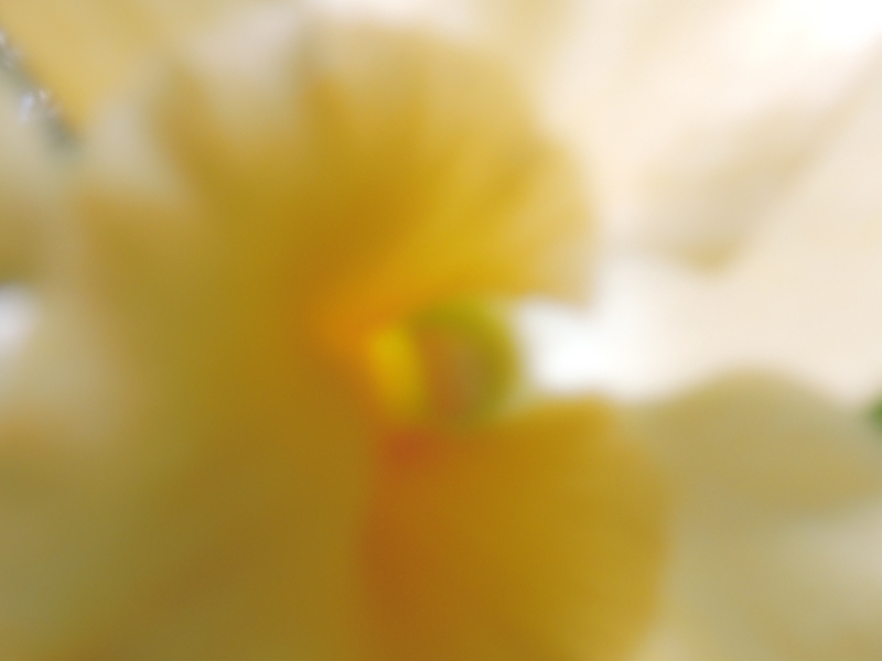 e0351973_2039520.jpg
