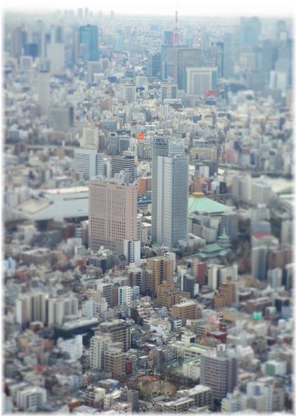 d0175974_22391398.jpg