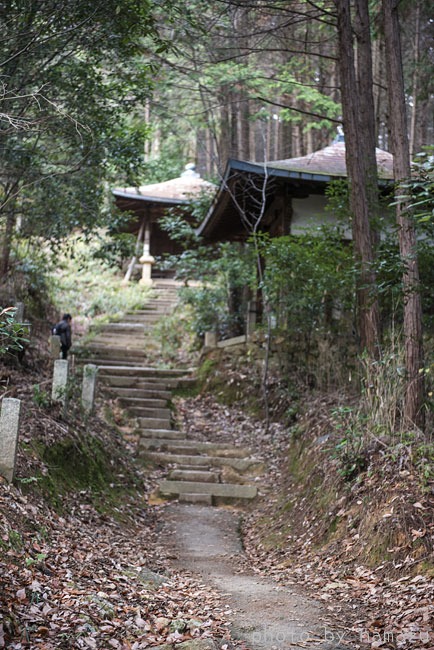 b0280176_1353414.jpg