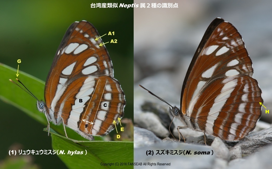 f0090680_21145173.jpg