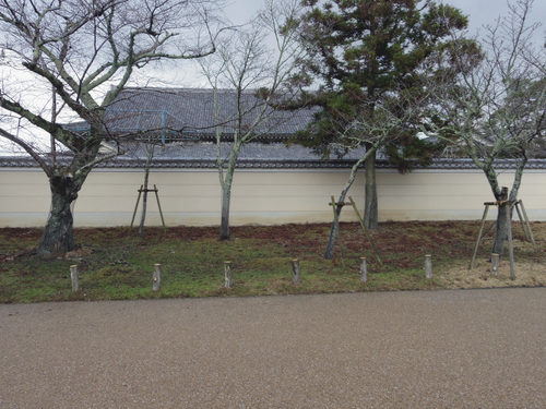 c0051781_045541.jpg