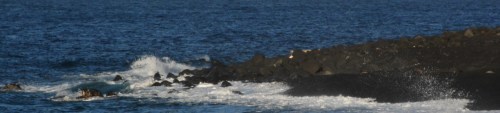 c0204385_17550348.jpg