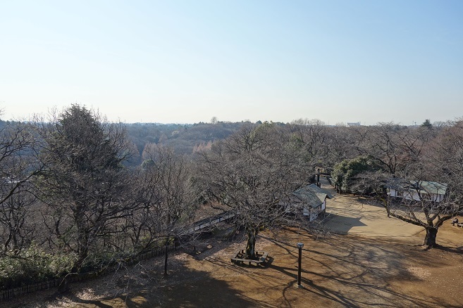 d0183387_11290700.jpg