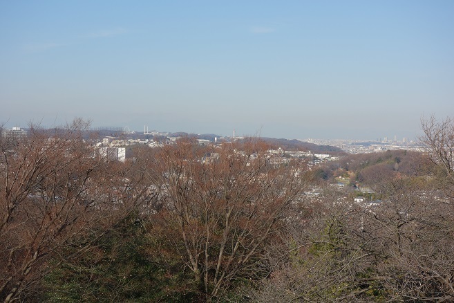 d0183387_11331081.jpg