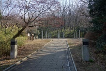 d0183387_18122060.jpg