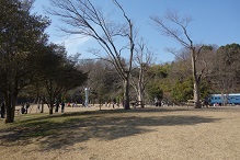 d0183387_19213877.jpg
