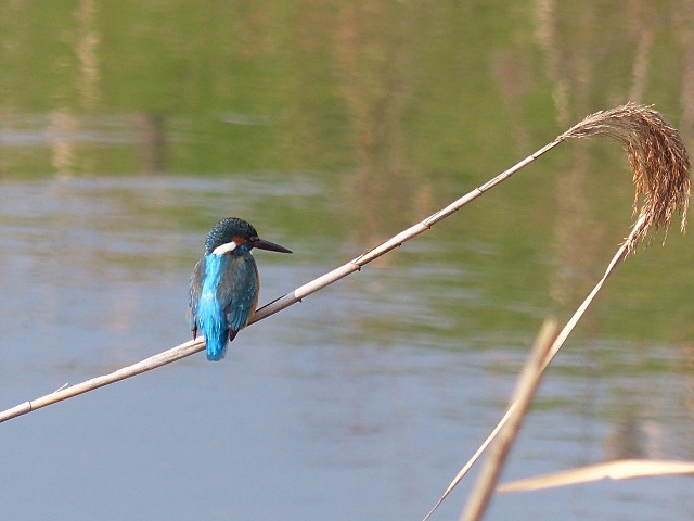 f0357487_20235931.jpg