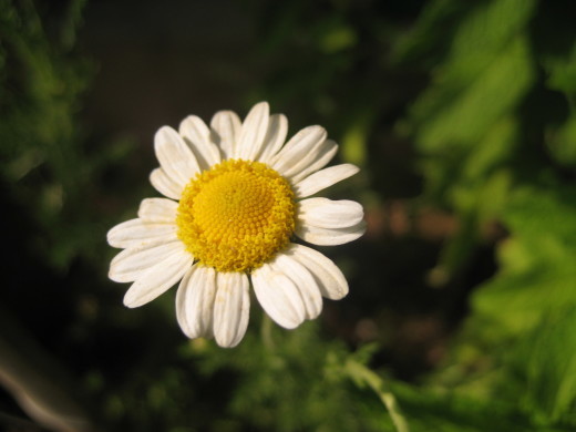f0201297_01003521.jpg