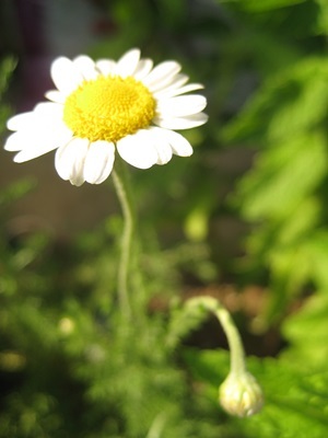 f0201297_01005823.jpg