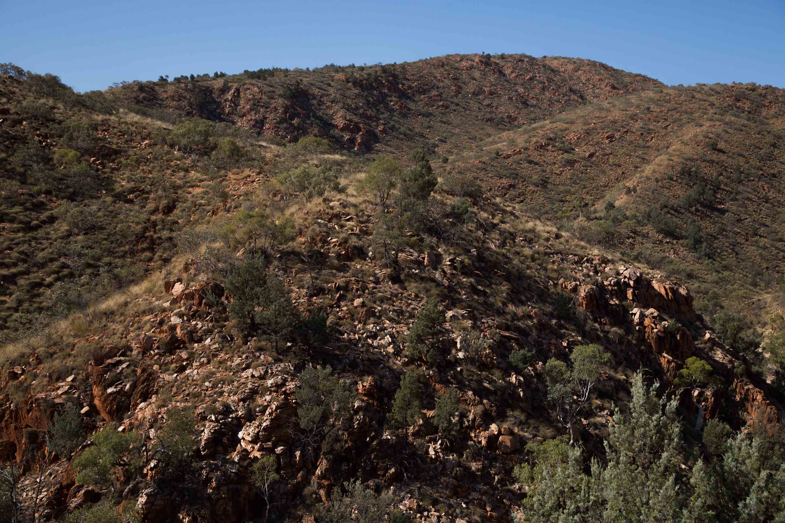 c0248100_21424649.jpg