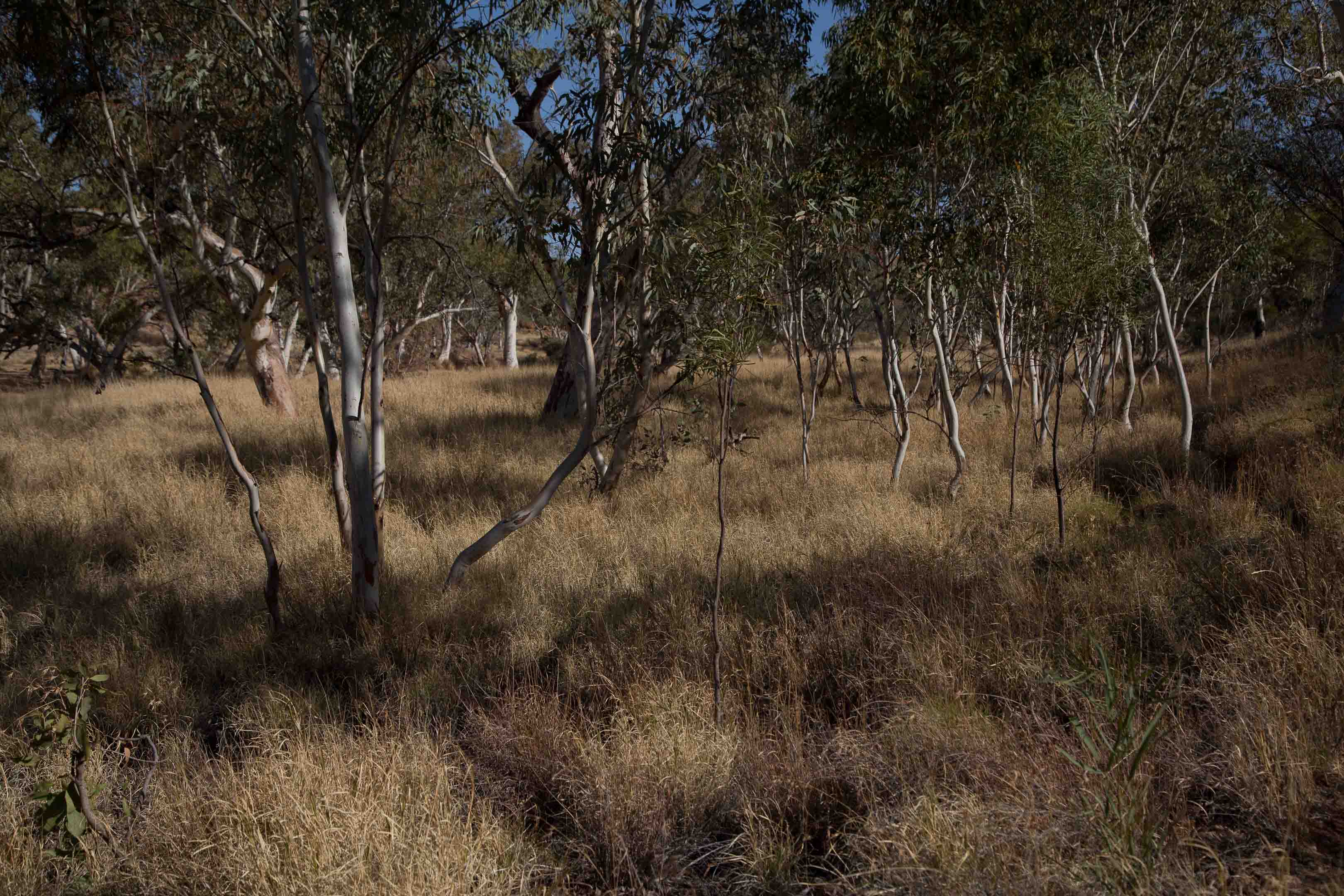 c0248100_21485289.jpg