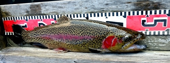 f0266202_18480511.jpg