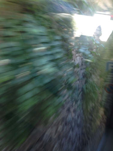 c0167813_03521195.jpg