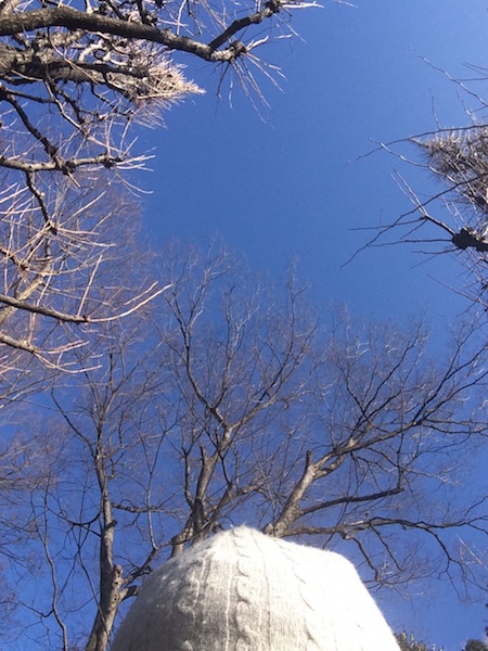 e0141819_2027190.jpg