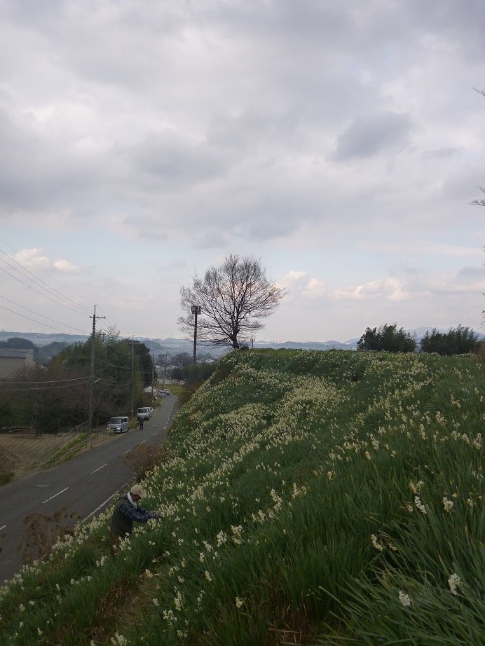 f0228619_20554721.jpg