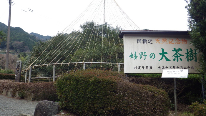 e0305733_5361799.jpg