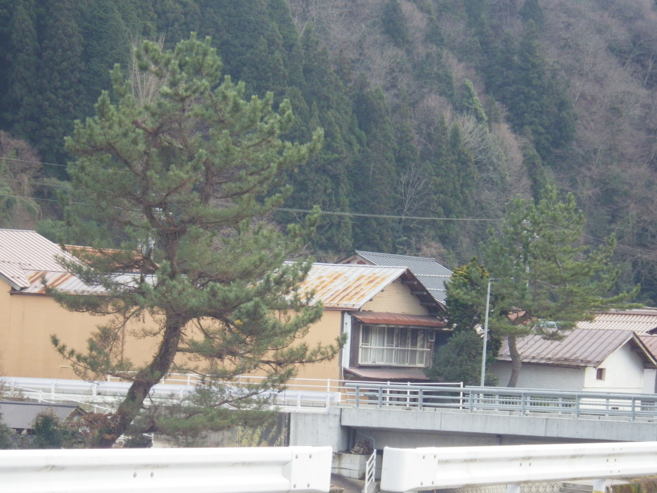c0300035_14302070.jpg
