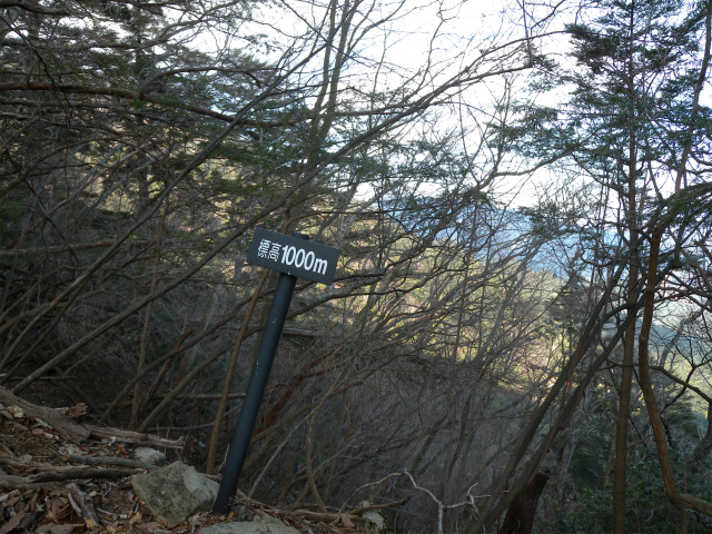 e0272335_814654.jpg