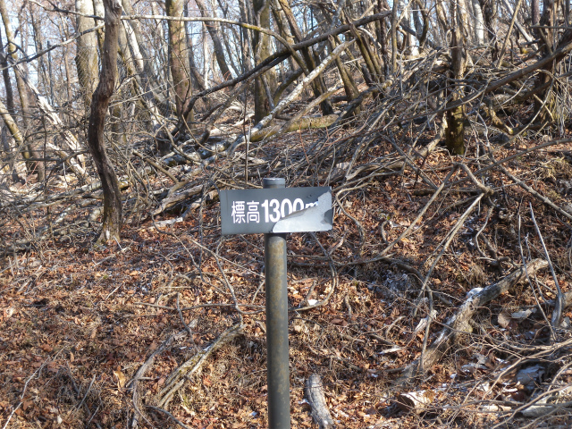 e0272335_8175980.jpg