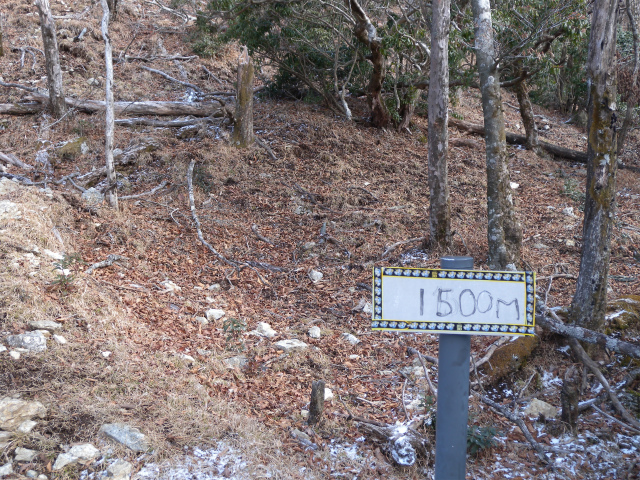 e0272335_8511637.jpg