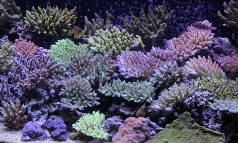 d0221436_2044966.jpg