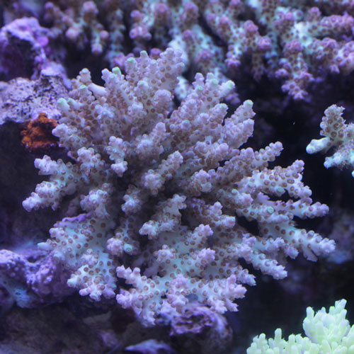 d0221436_20455740.jpg