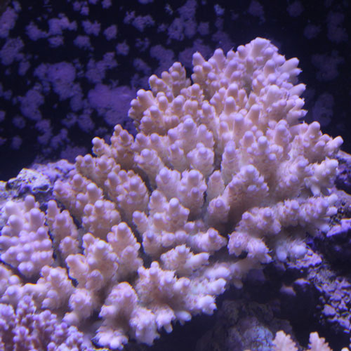 d0221436_20462732.jpg