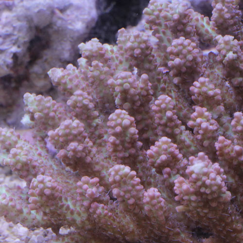 d0221436_20484258.jpg