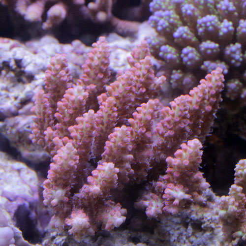 d0221436_20512558.jpg