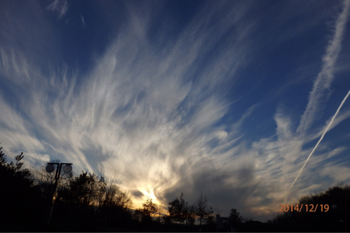 a0343740_00572772.jpg