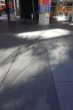 e0080345_9313779.jpg