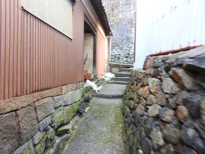 a0237349_10193145.jpg
