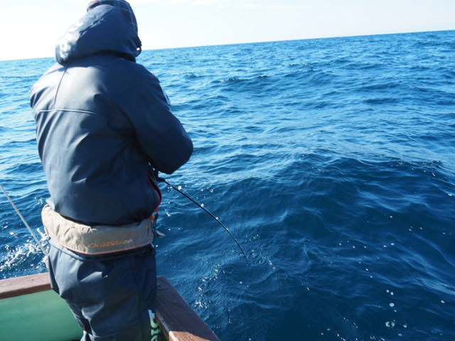a0248152_18515637.jpg
