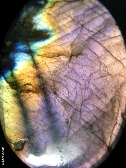 f0351853_04004970.jpg