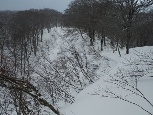 c0294658_00434978.jpg