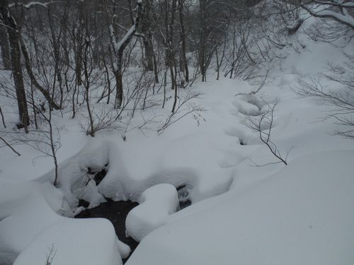 c0294658_00440784.jpg