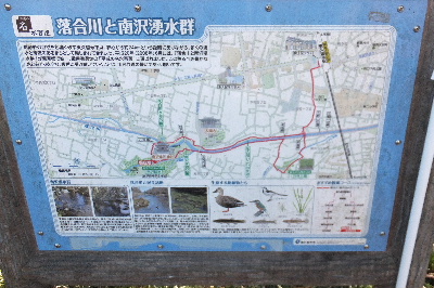 e0088260_1833526.jpg