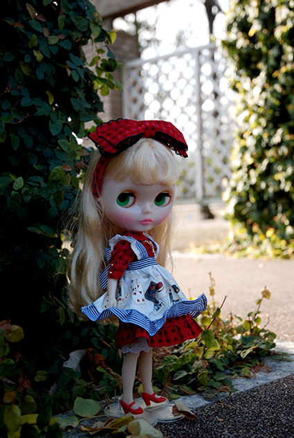 b0059664_1313892.jpg