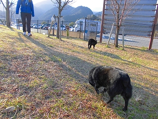e0002466_20321325.jpg