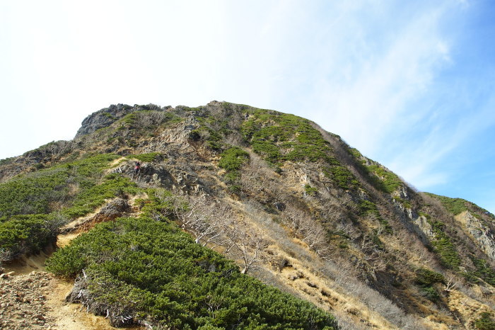 e0307372_12240590.jpg