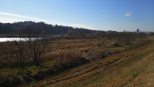 e0020682_20132299.jpg