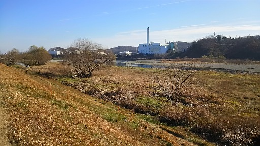 e0020682_20147100.jpg