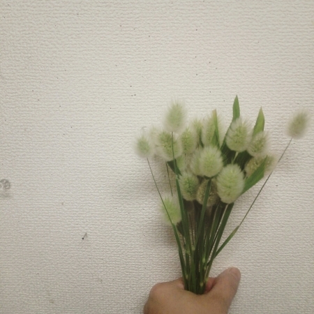 b0245883_21011188.jpg