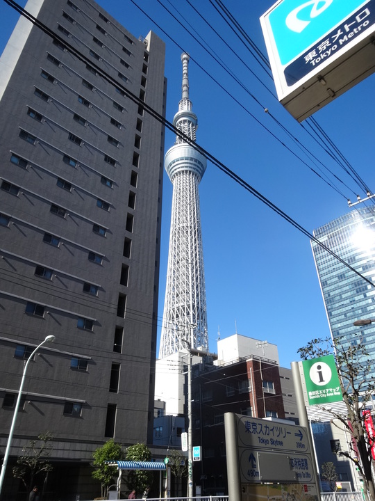 a0272591_7233135.jpg