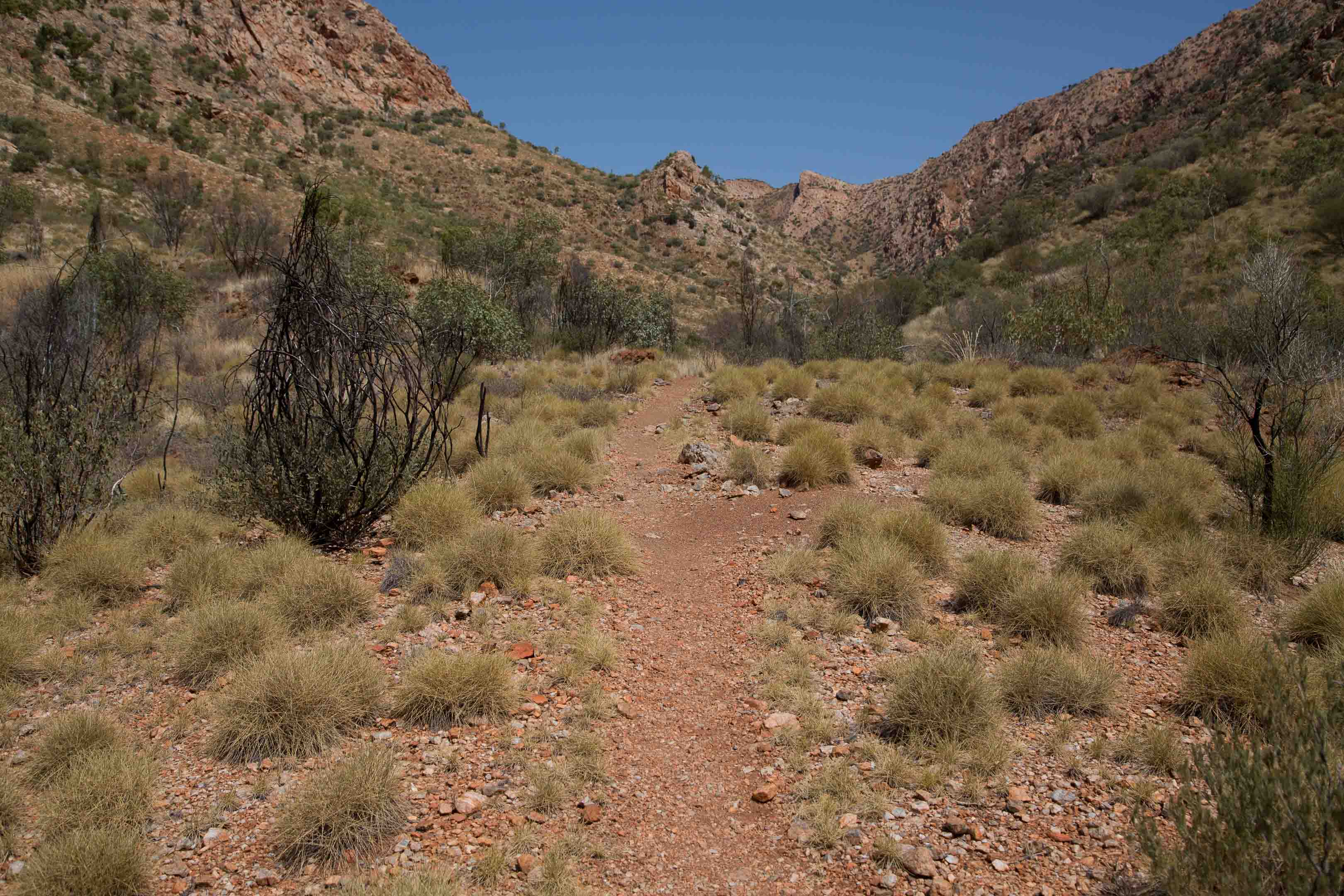 c0248100_213410100.jpg