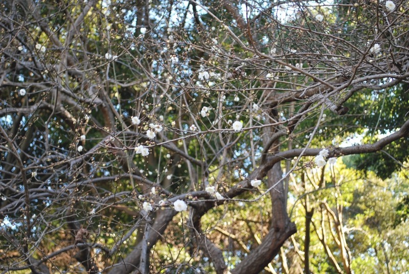 e0025300_20321322.jpg