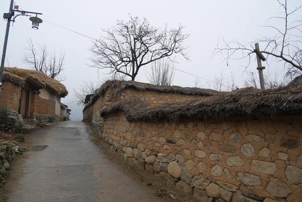 a0140305_203481.jpg