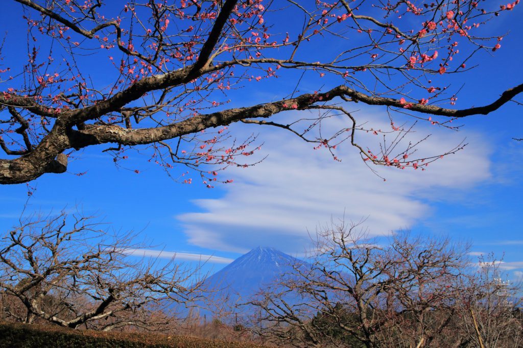 a0188405_05151236.jpg