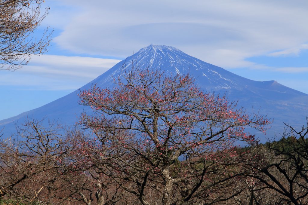 a0188405_05154047.jpg